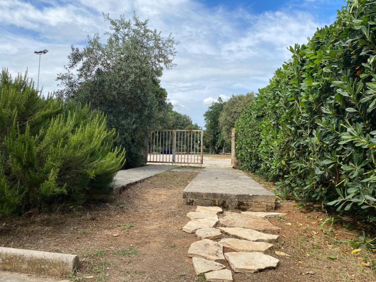 Apartment Soline Biograd Na Moru Eksteriør billede